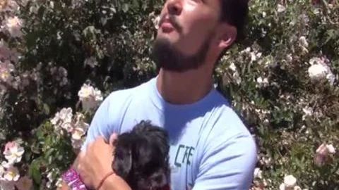Bear BB asian